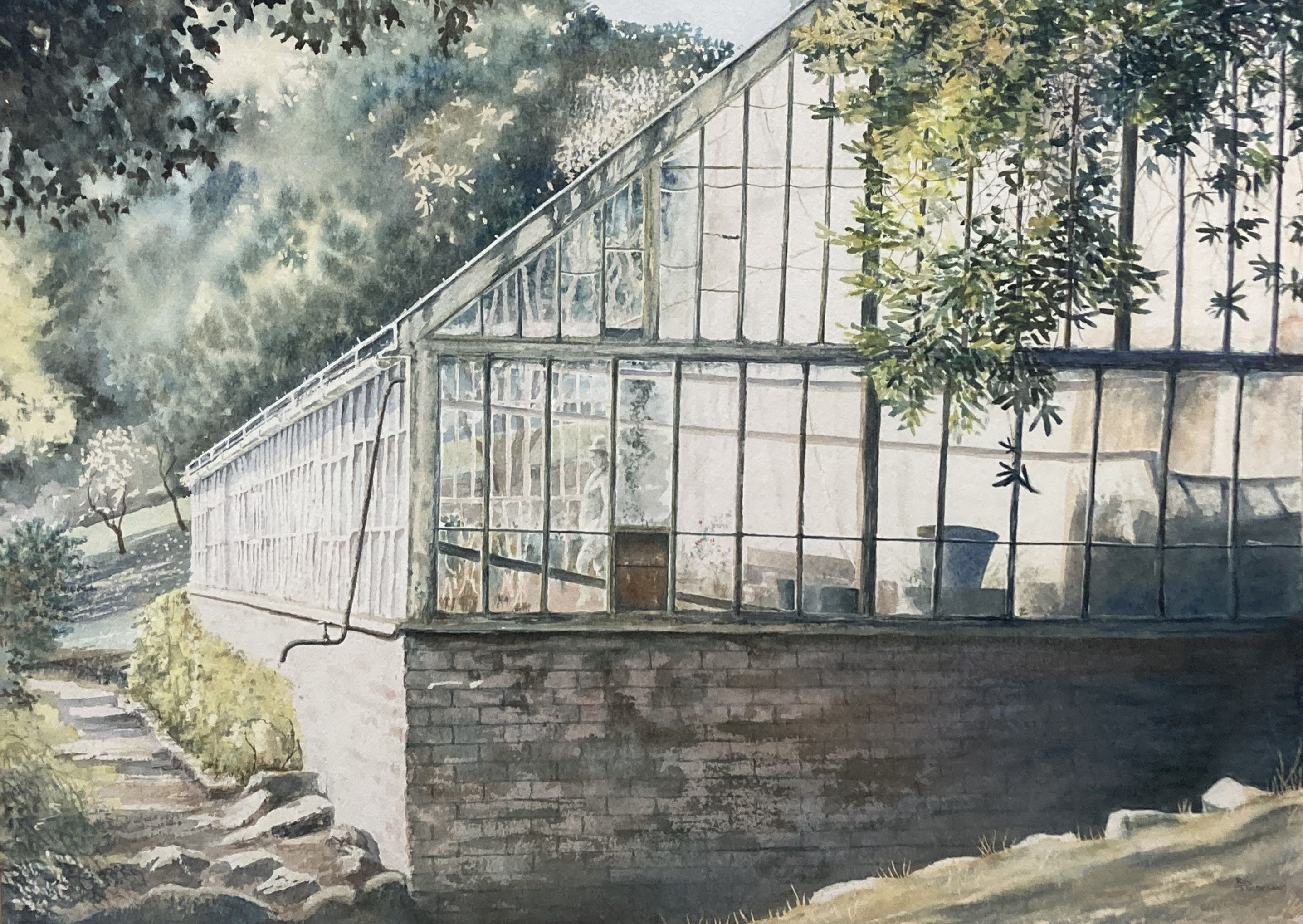 A.N. Sargant, watercolour, Thatched cottage, signed and dated 1972, 42 x 53cm and a watercolour of a greenhouse by Roy Stedman, 41 x 55